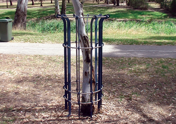 Esplanade Tree Guard