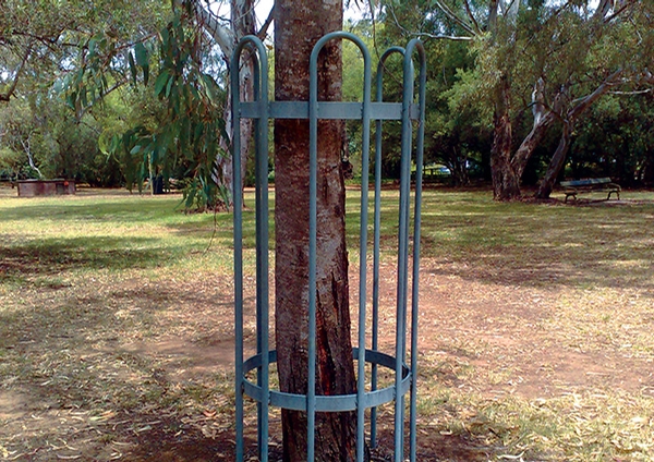 Campus Tree Guard